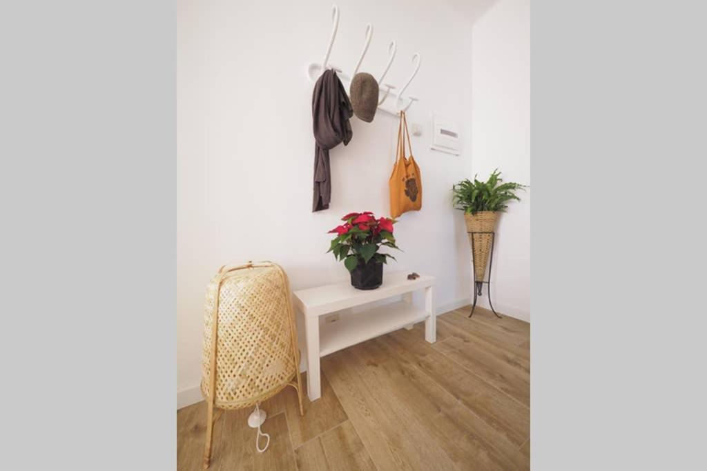 Apartaments Sa Calm Sant Miquel De Les Formigues Sant Hilari Sacalm Exterior photo
